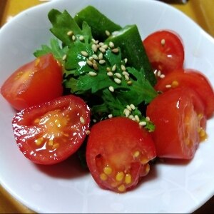 オクラ*トマトのグリーンサラダ